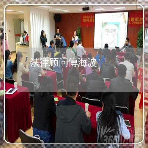 法律顾问傅海波/2023061772717 法律顾问傅海波/2023061772717