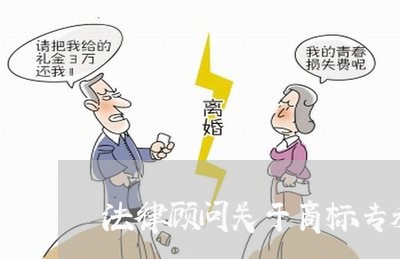 法律顾问关于商标专利/2023061772482 法律顾问关于商标专利/2023061772482