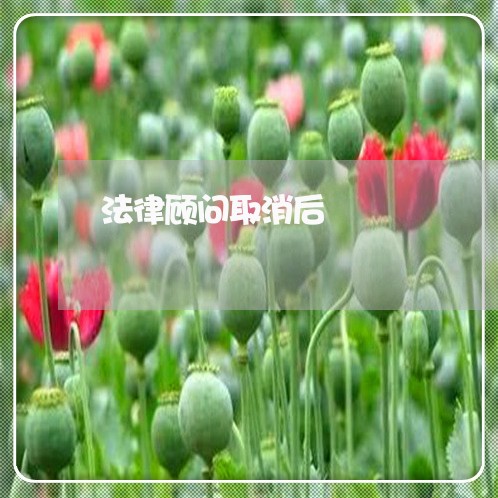 法律顾问取消后/2023061727249