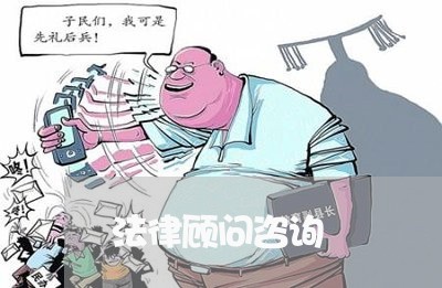 法律顾问咨询/2023061638131 法律顾问咨询/2023061638131