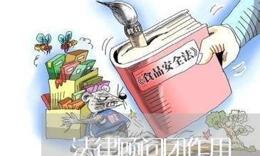 法律顾问团作用 法律顾问团作用