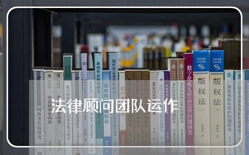 法律顾问团队运作