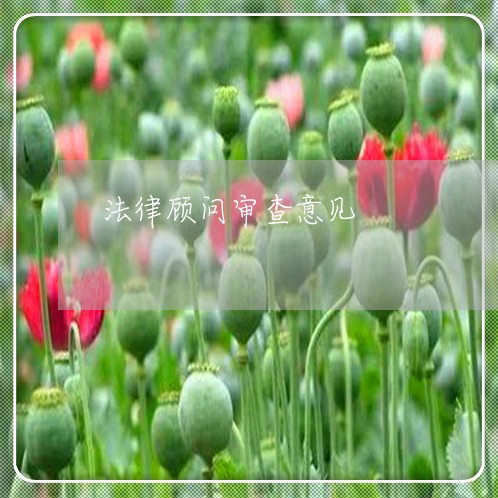 法律顾问审查意见 法律顾问审查意见