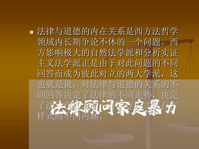 法律顾问家庭暴力/2023061748058