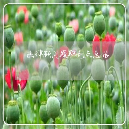 法律顾问履职亮点总结/2023061870683