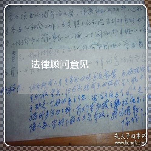 法律顾问意见/2023061696948 法律顾问意见/2023061696948