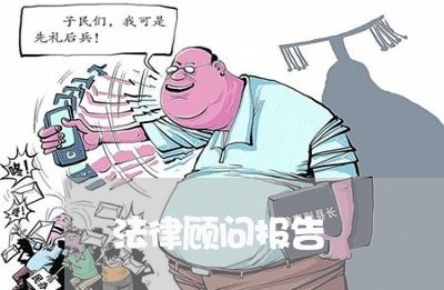 法律顾问报告/2023061673604 法律顾问报告/2023061673604