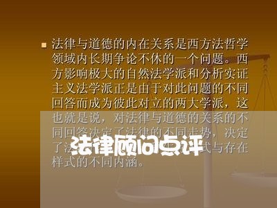法律顾问点评