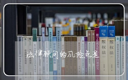 法律顾问的风险点是/2023061804827