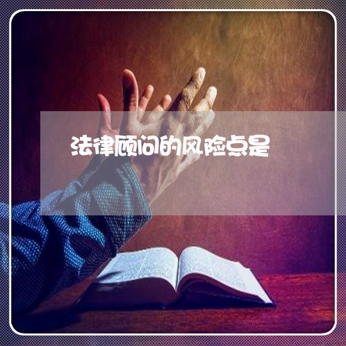 法律顾问的风险点是/2023061836847