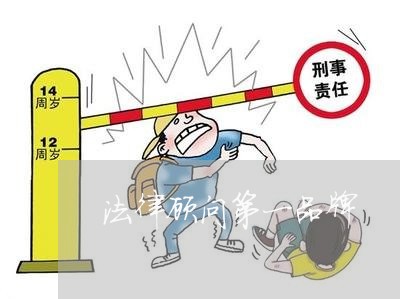 法律顾问第一品牌 法律顾问第一品牌