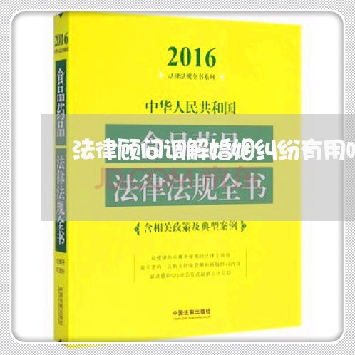 法律顾问调解婚姻纠纷有用吗