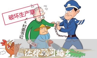 法律顾问起名
