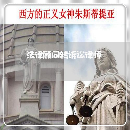 法律顾问转诉讼律师/2023061794829