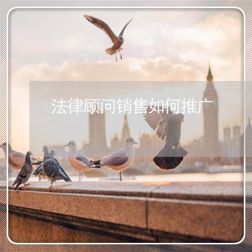 法律顾问销售如何推广/2023061762703