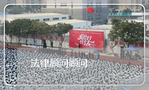法律顾问顾问/2023061738361 法律顾问顾问/2023061738361