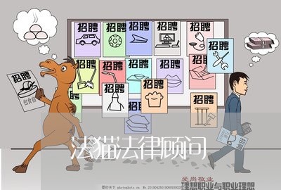 法猫法律顾问/2023061698281