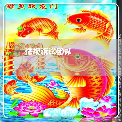 法观诉讼团队