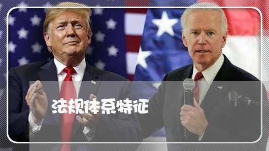 法规体系特征