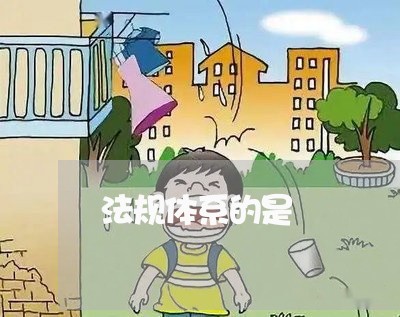 法规体系的是