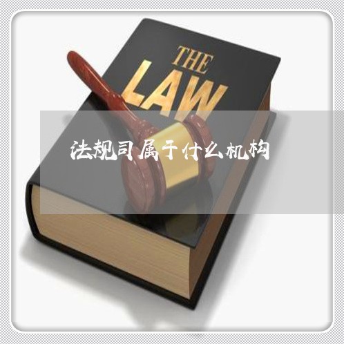 法规司属于什么机构