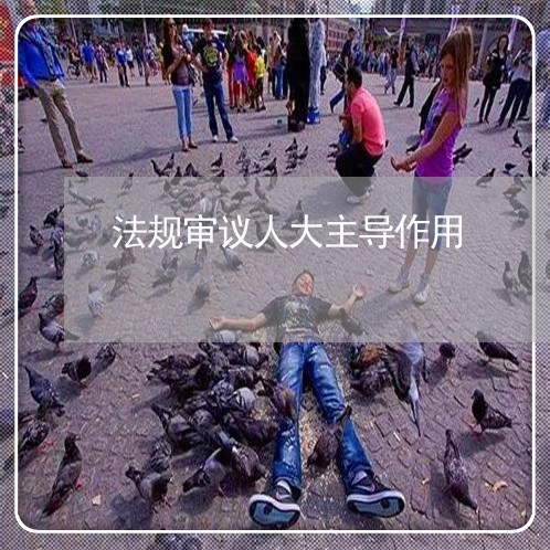 法规审议人大主导作用
