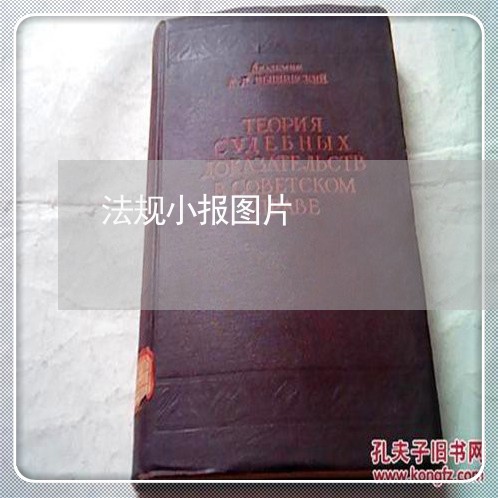 法规小报图片