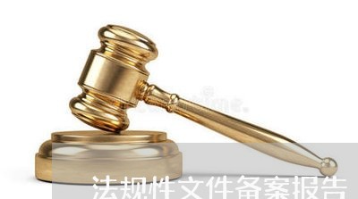 法规性文件备案报告