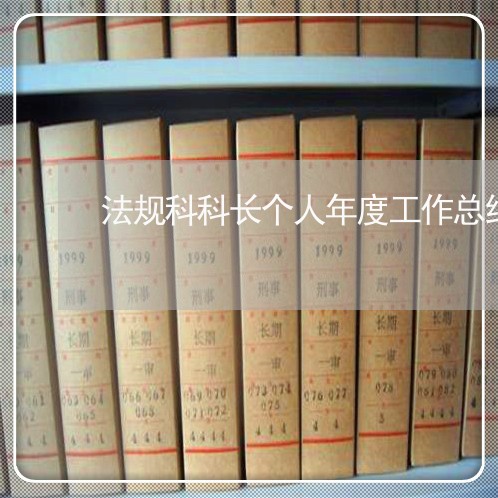 法规科科长个人年度工作总结