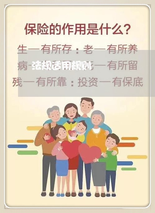 法规适用规则 法规适用规则