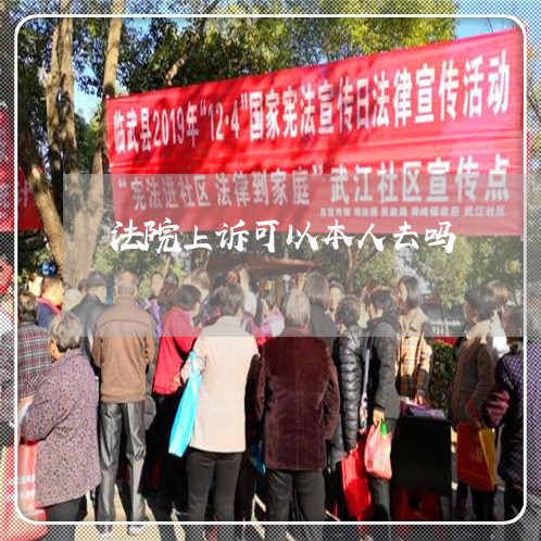 法院上诉可以本人去吗 法院上诉可以本人去吗