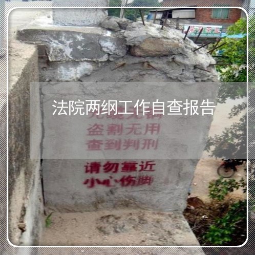 法院两纲工作自查报告 法院两纲工作自查报告