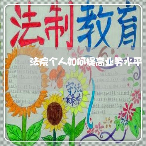 法院个人如何提高业务水平