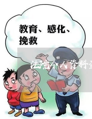 法院个人资料查询系统