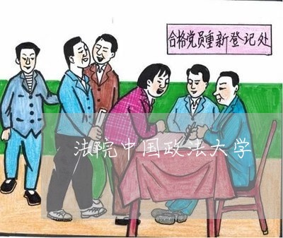 法院中国政法大学