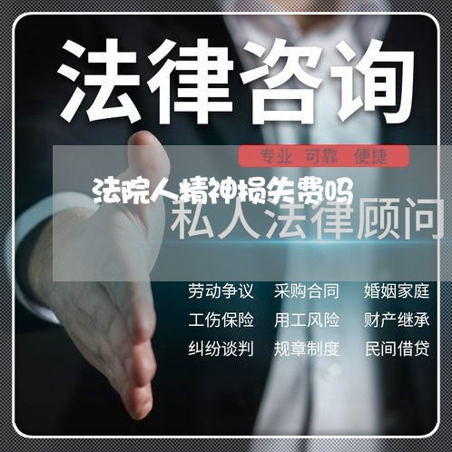 法院人精神损失费吗