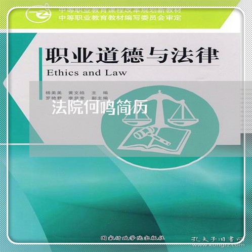 法院何鸣简历 法院何鸣简历