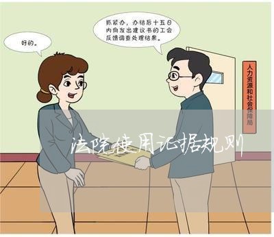 法院使用证据规则 法院使用证据规则