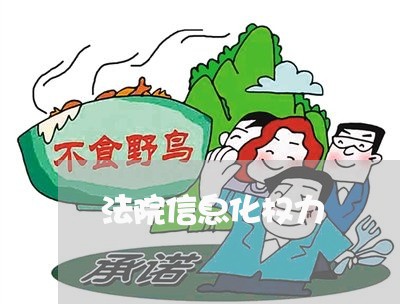法院信息化权力