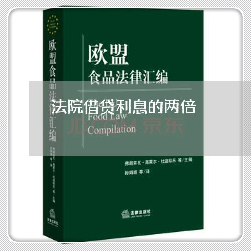 法院借贷利息的两倍 法院借贷利息的两倍