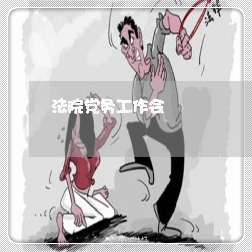 法院党务工作会