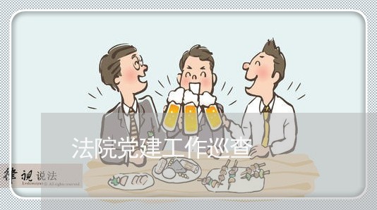 法院党建工作巡查