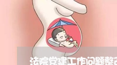 法院党建工作问题整改落实情况