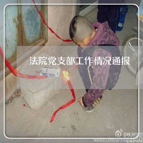 法院党支部工作情况通报