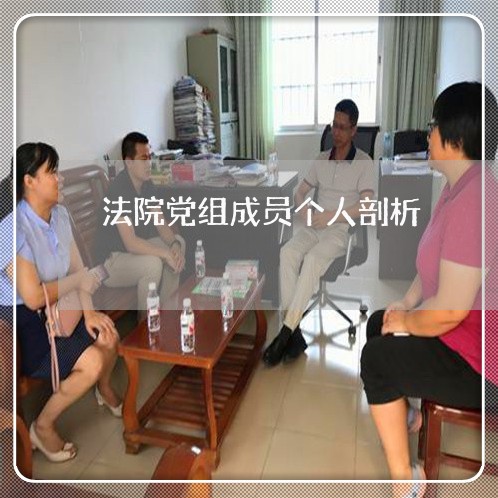 法院党组成员个人剖析 法院党组成员个人剖析