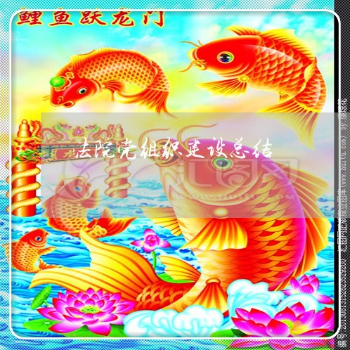 法院党组织建设总结