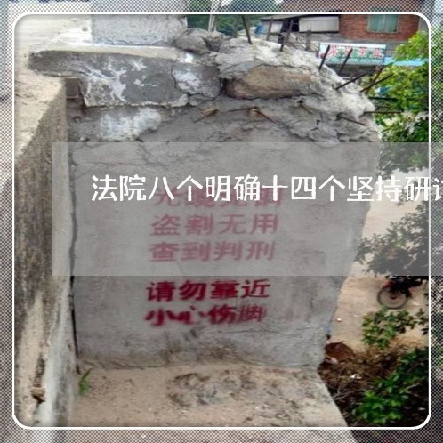 法院八个明确十四个坚持研讨