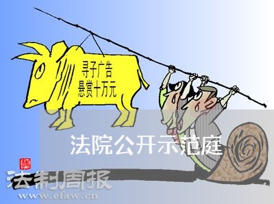 法院公开示范庭 法院公开示范庭