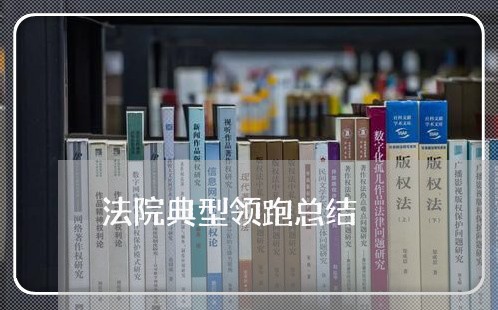 法院典型领跑总结