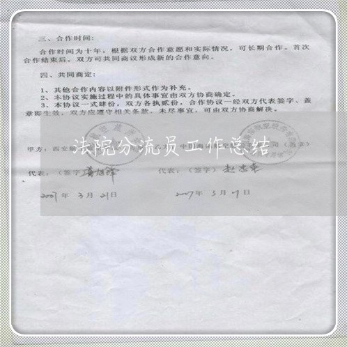 法院分流员工作总结 法院分流员工作总结
